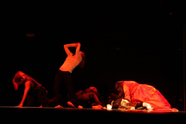 Kriva za Gausa, fotografija iz predstave